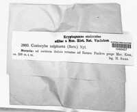Image Associated With the Occurence